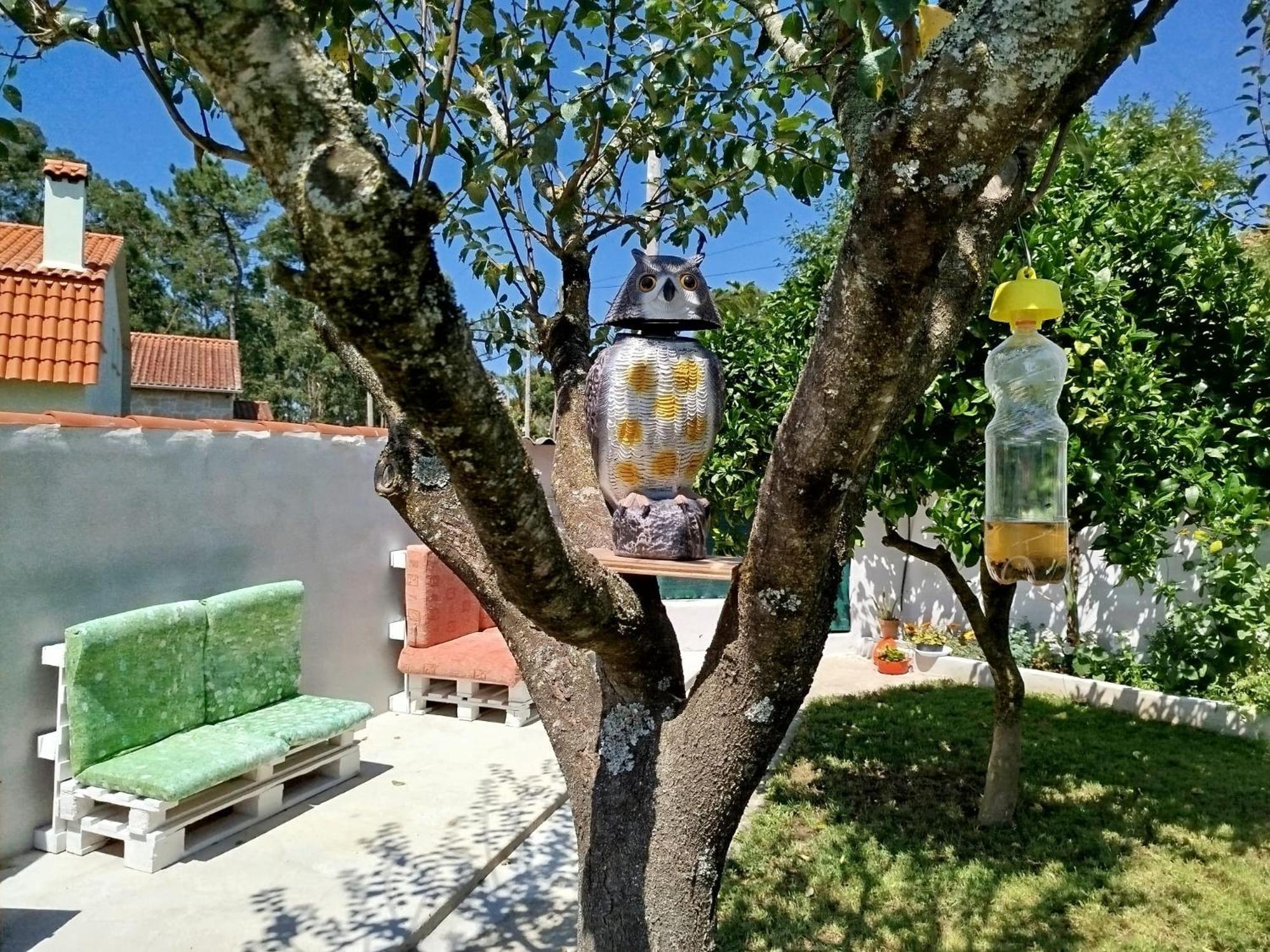 فيلا A Telleira Rosal المظهر الخارجي الصورة