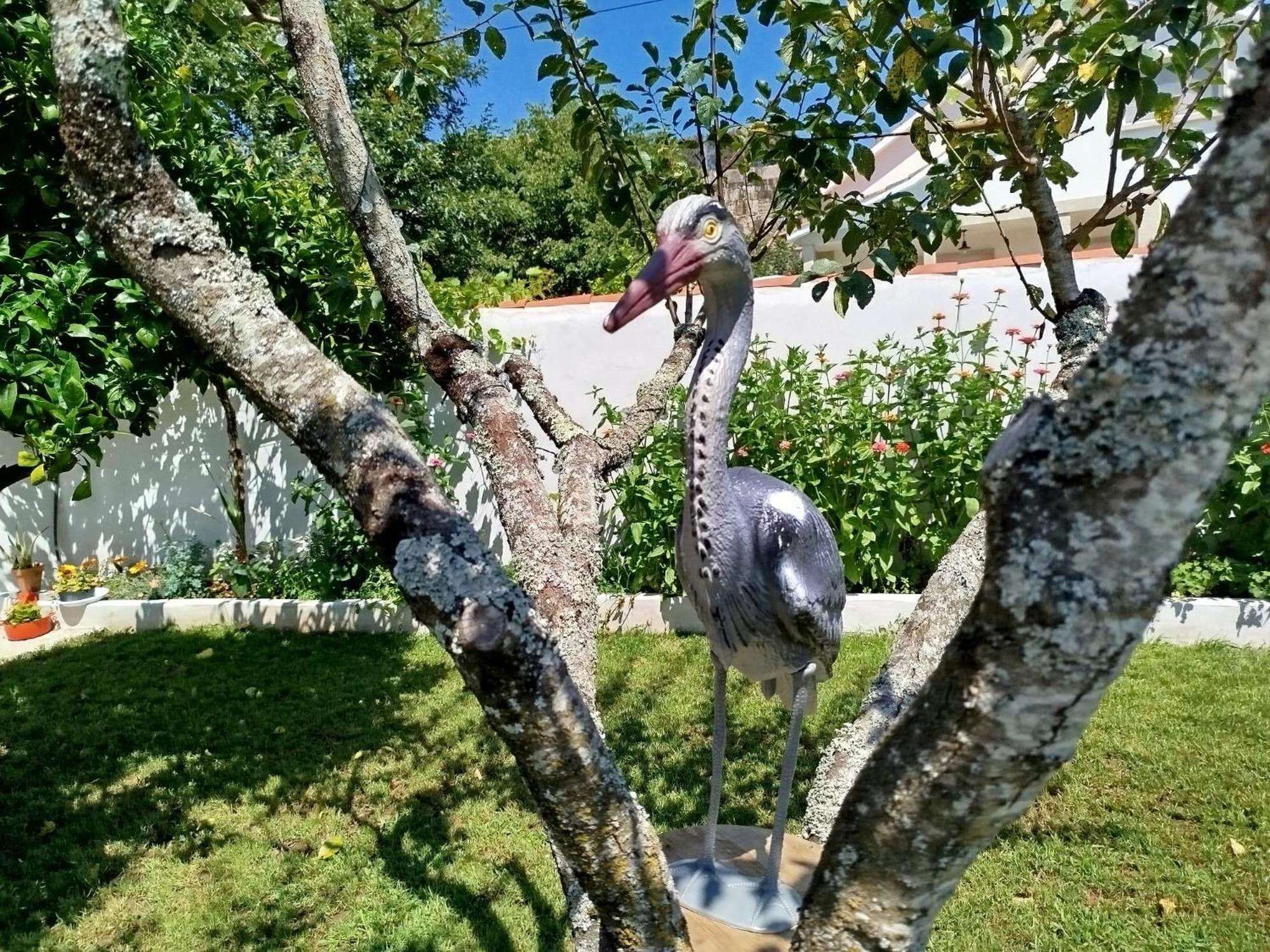فيلا A Telleira Rosal المظهر الخارجي الصورة